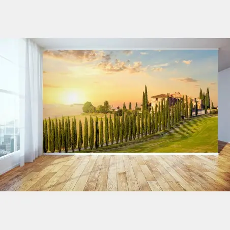 Papier peint coucher de soleil en Toscane — avenue de cyprès – Wallnifity®