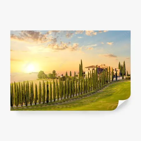 Papier peint coucher de soleil en Toscane — avenue de cyprès – Wallnifity®
