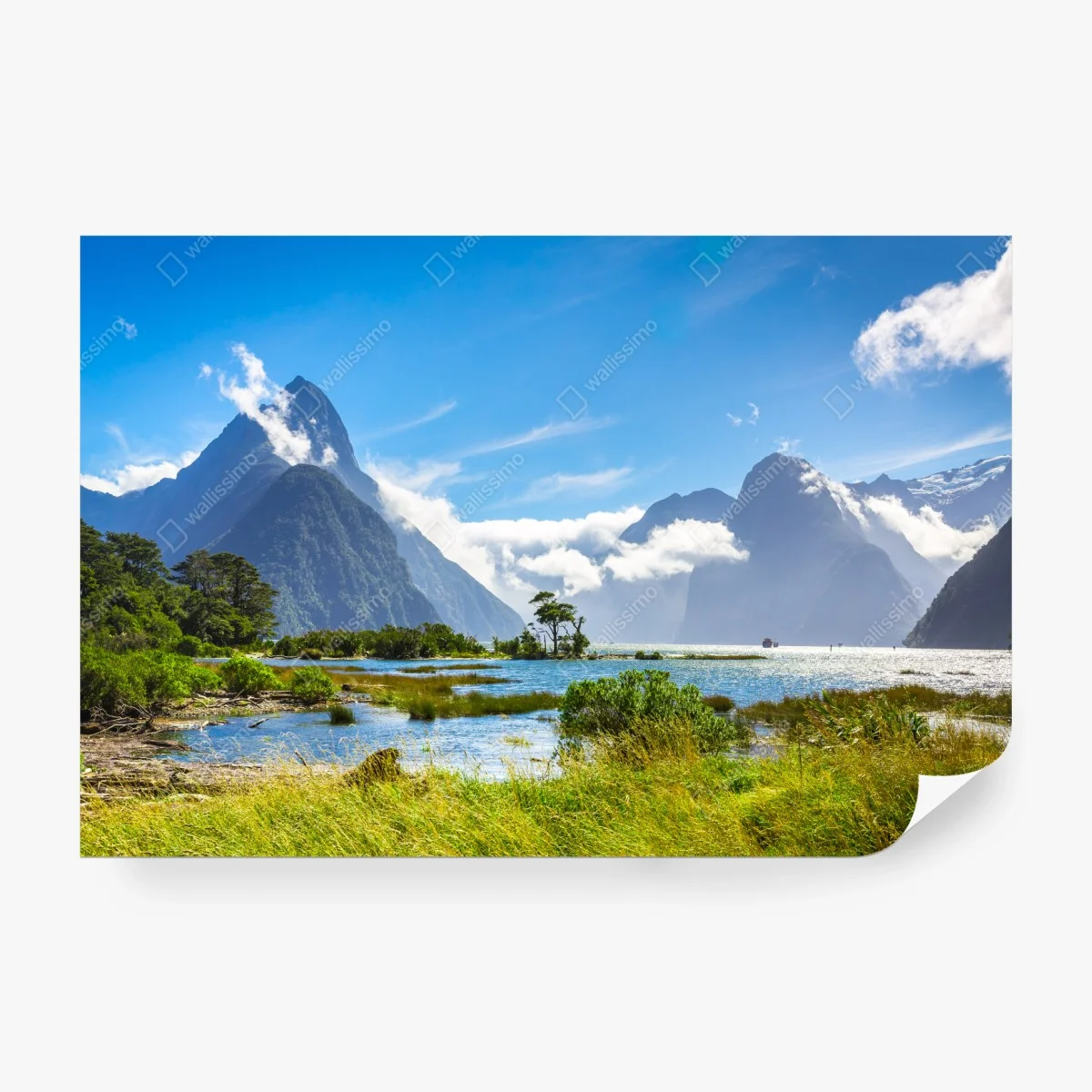 Papier peint paysage du fjord de Milford Sound au soleil – Wallnifity®