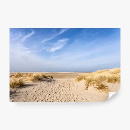 Papier peint paysage de dunes en Allemagne – Wallnifity®