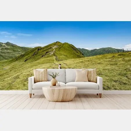 Papier peint sentier sinueux dans les Alpes de Zillertal – Wallnifity®