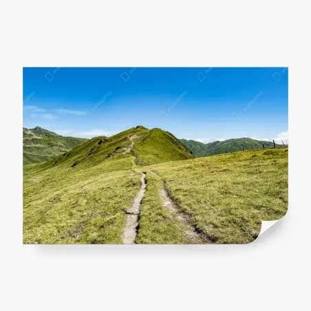 Papier peint sentier sinueux dans les Alpes de Zillertal – Wallnifity®