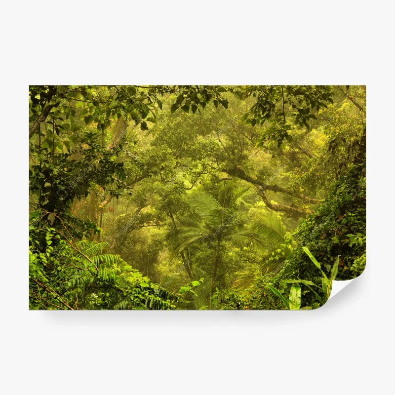 Papier peint canopée verdoyante de Cairns – Wallnifity® Papier peint canopée verdoyante de Cairns – Wallnifity®