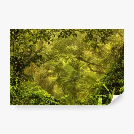 Papier peint canopée verdoyante de Cairns – Wallnifity®