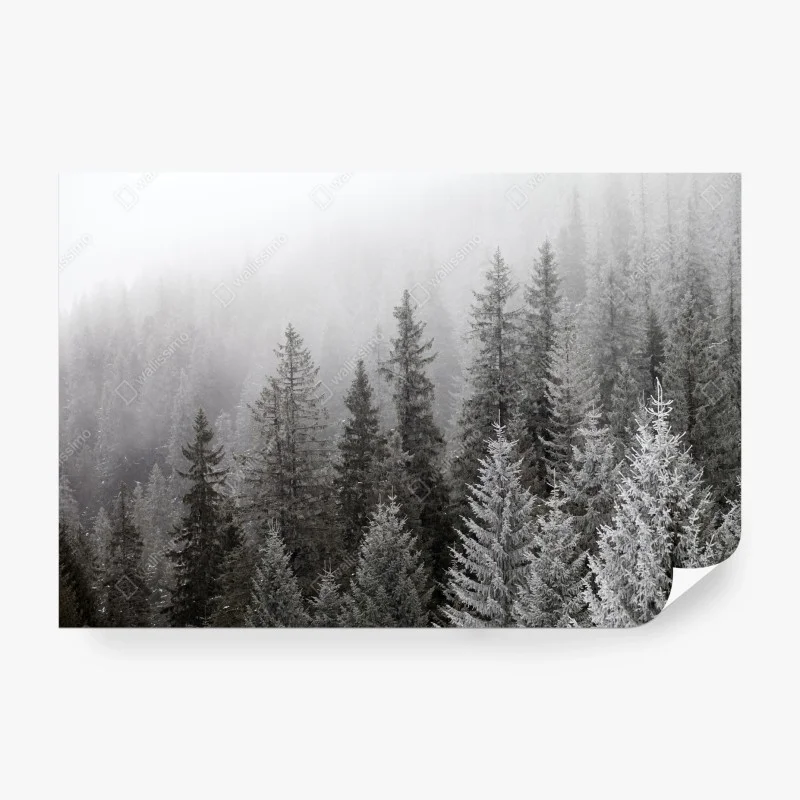 Papier peint forêt hivernale embrumée des Carpates, Ukraine – Wallnifity® Papier peint forêt hivernale embrumée des Carpates, Ukraine – Wallnifity®