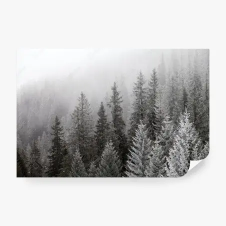 Papier peint forêt hivernale embrumée des Carpates, Ukraine – Wallnifity®