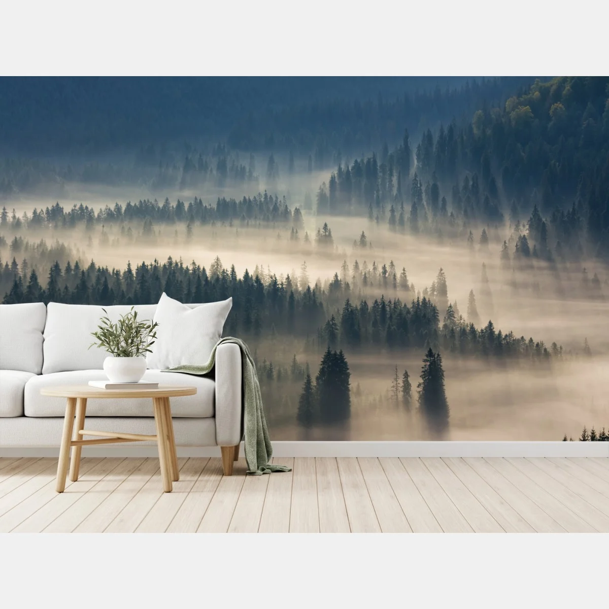 Papier peint brume matinale sur la forêt de conifères – Wallnifity® Papier peint brume matinale sur la forêt de conifères – Wallnifity®