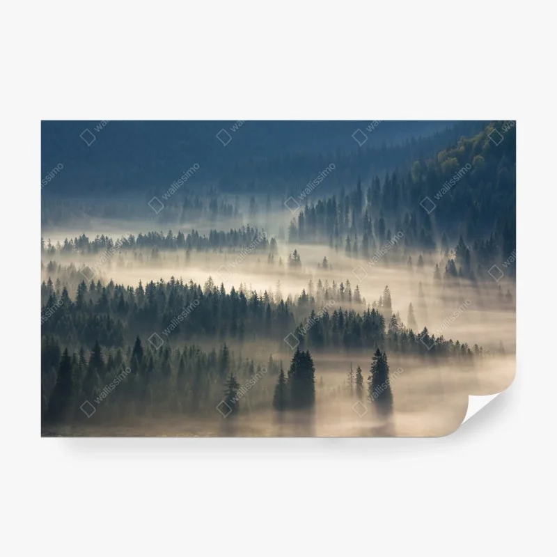 Papier peint brume matinale sur la forêt de conifères – Wallnifity® Papier peint brume matinale sur la forêt de conifères – Wallnifity®