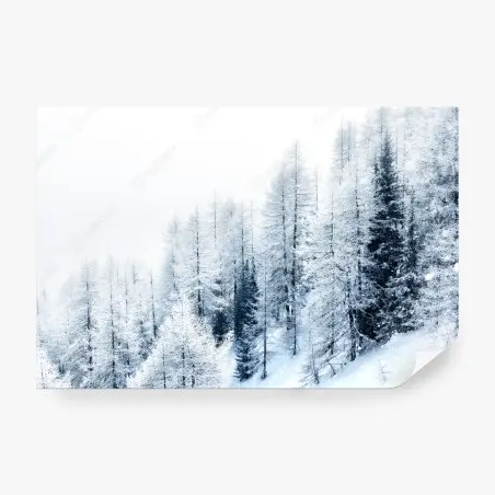 Papier peint paysage hivernal de forêt enneigée – Wallnifity®