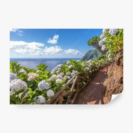 Papier peint sentier côtier fleuri à São Miguel – Wallnifity®