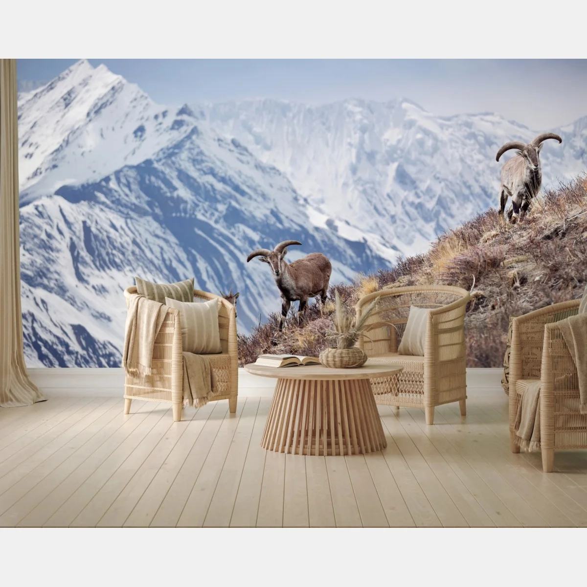 Papier peint mouflons bleus sur les pentes de l'Himalaya, Népal – Wallnifity® Papier peint mouflons bleus sur les pentes de l'Himalaya, Népal – Wallnifity®