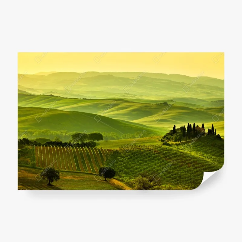 Papier peint collines dorées de la Toscane – Wallnifity® Papier peint collines dorées de la Toscane – Wallnifity®