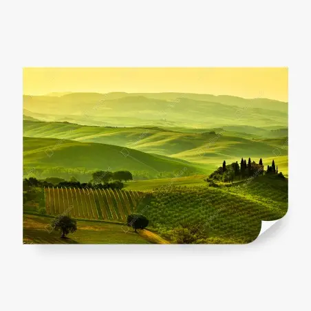 Papier peint collines dorées de la Toscane – Wallnifity®