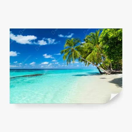 Papier peint plage tropicale aux palmiers et eau turquoise – Wallnifity®