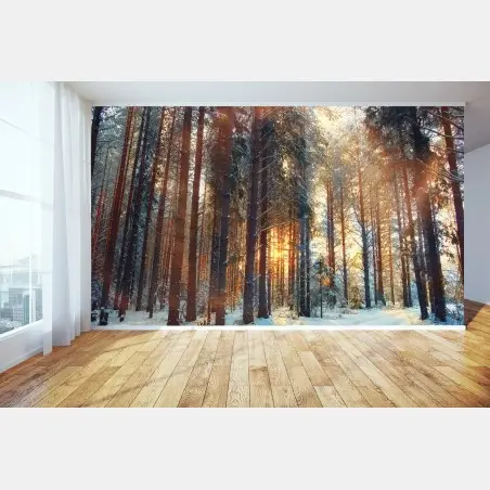 Papier peint forêt hivernale au lever du soleil – Wallnifity®