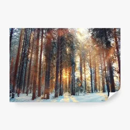 Papier peint forêt hivernale au lever du soleil – Wallnifity®