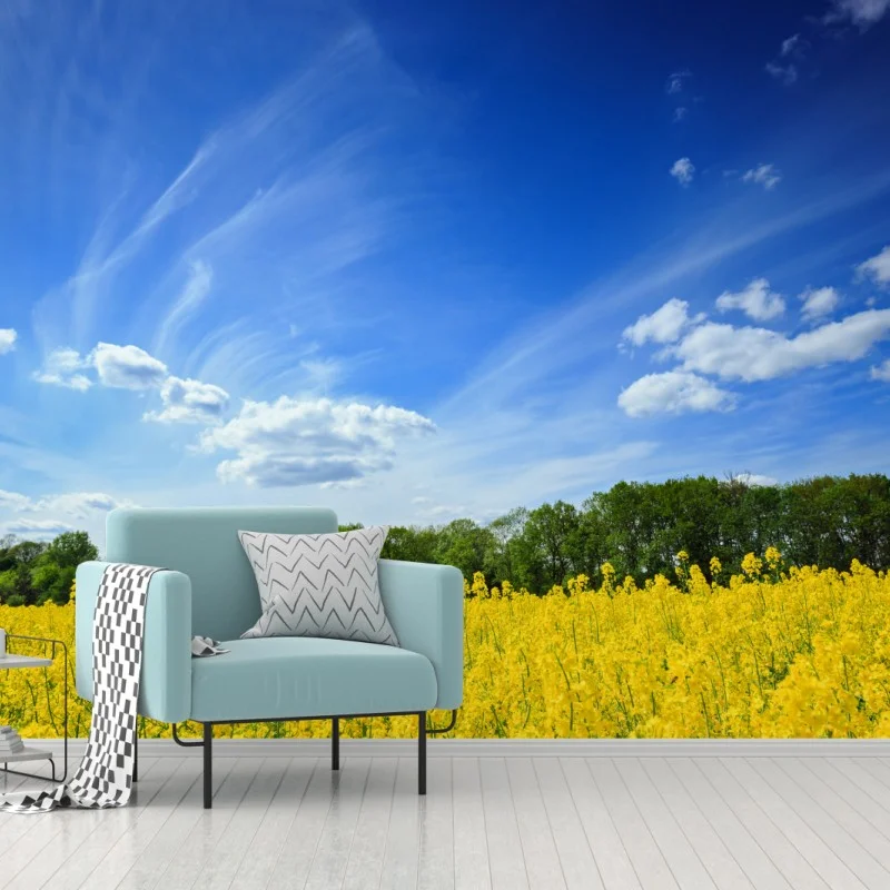 Paysages – Wallnifity®