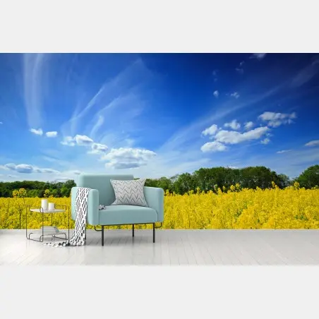 Papier peint horizon ensoleillé sur champ de colza en Pologne – Wallnifity®