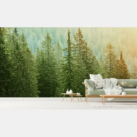 Papier peint forêt de conifères au lever du soleil – Wallnifity®
