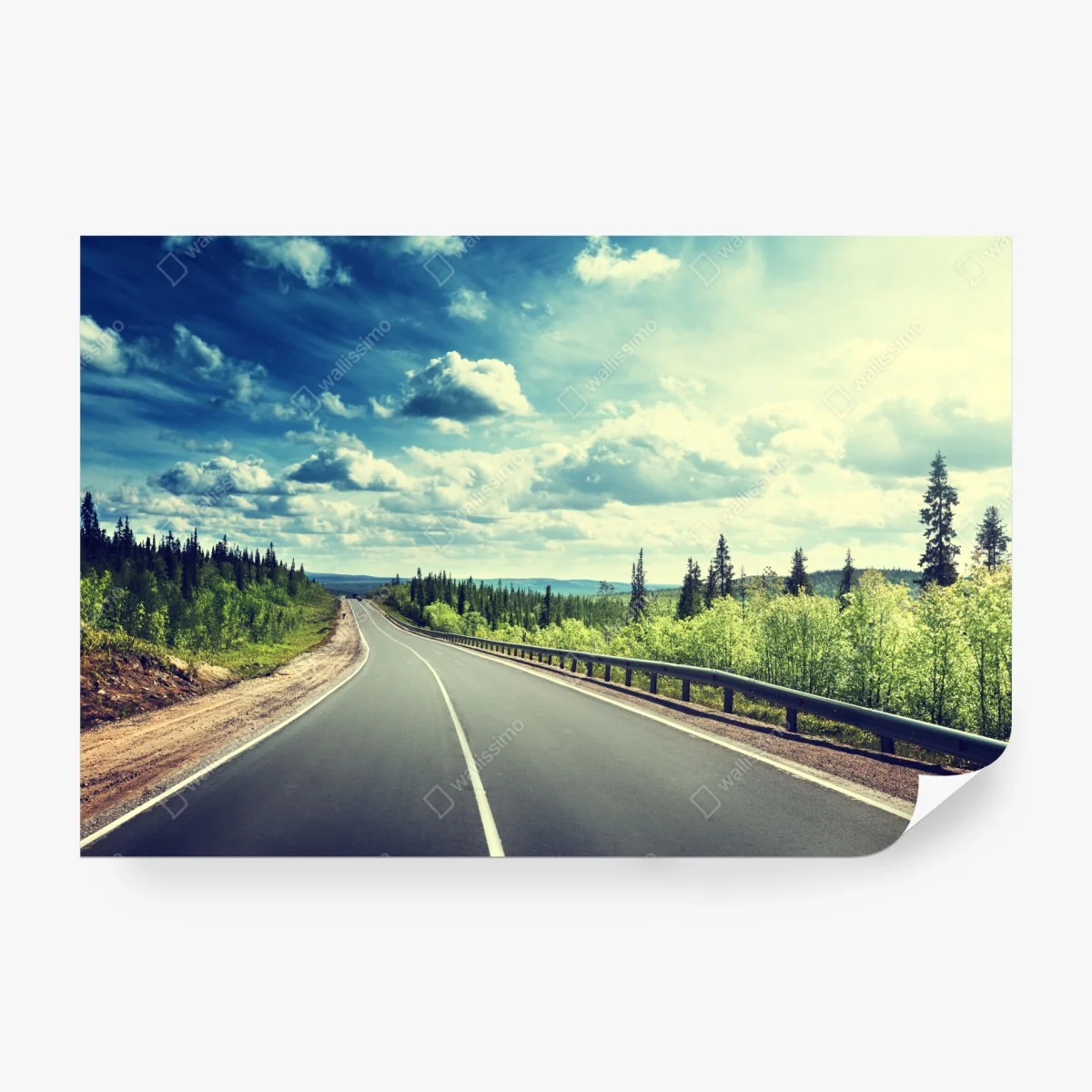 Papier peint route vers l'horizon dans la forêt boréale – Wallnifity® Papier peint route vers l'horizon dans la forêt boréale – Wallnifity®