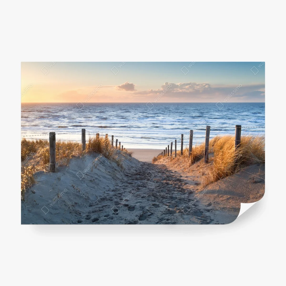 Papier peint chemin de sable vers la Mer du Nord au coucher du soleil – Wallnifity® Papier peint chemin de sable vers la Mer du Nord au coucher du soleil – Wallnifity®
