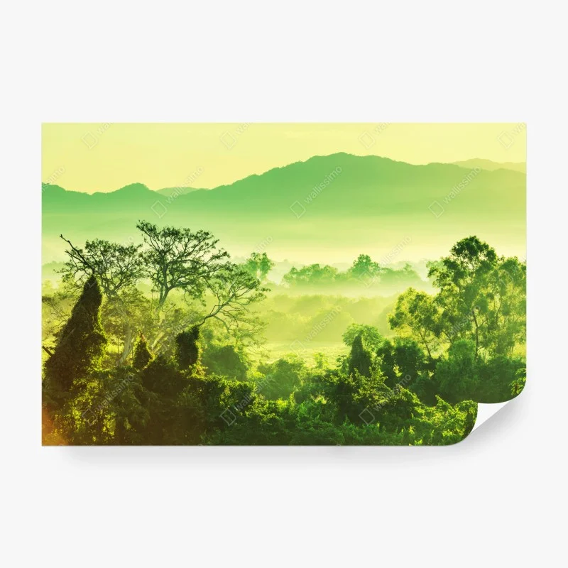 Papier peint brume tropicale du Mexique – Wallnifity® Papier peint brume tropicale du Mexique – Wallnifity®