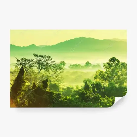 Papier peint brume tropicale du Mexique – Wallnifity®