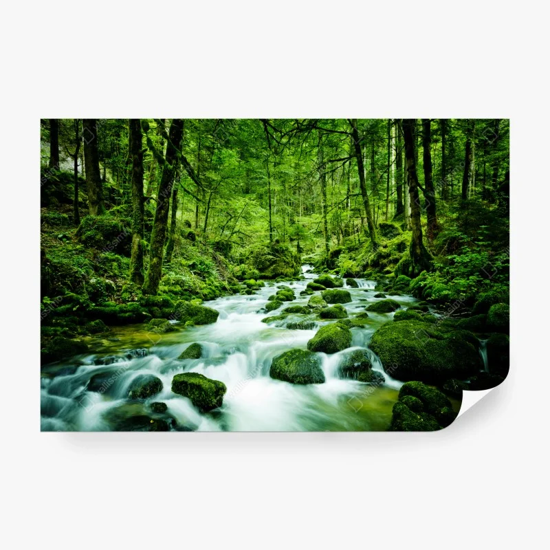 Papier peint ruisseau moussu en forêt – Wallnifity® Papier peint ruisseau moussu en forêt – Wallnifity®