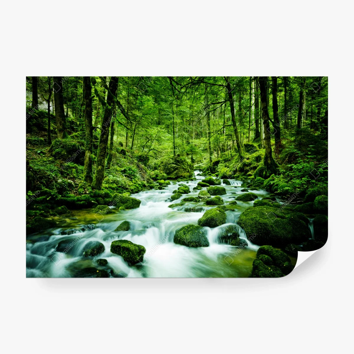 Papier peint ruisseau moussu en forêt – Wallnifity® Papier peint ruisseau moussu en forêt – Wallnifity®