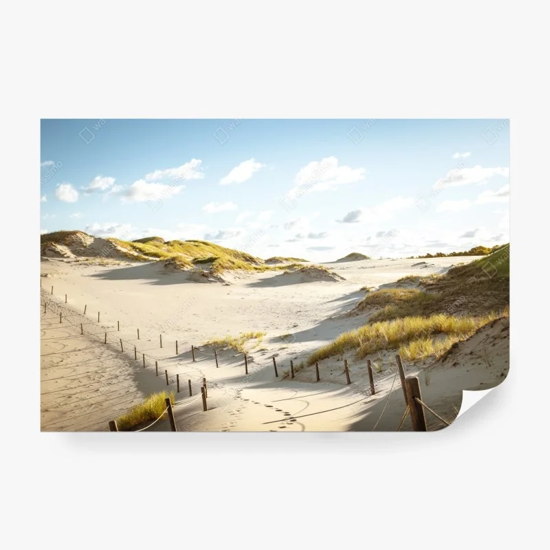 Papier peint oasis de dunes à Slowinski National Park – Wallnifity® Papier peint oasis de dunes à Slowinski National Park – Wallnifity®
