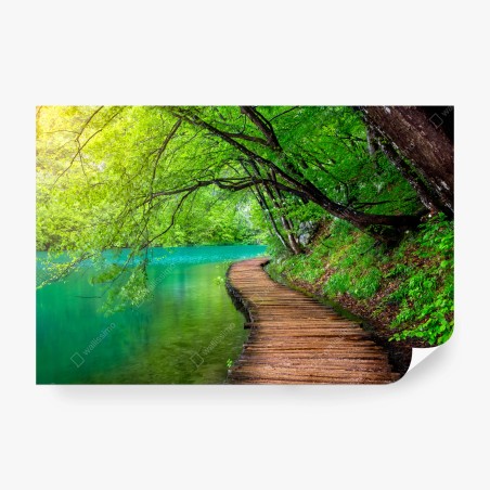 Papier peint promenade au bord du lac émeraude – Wallnifity®