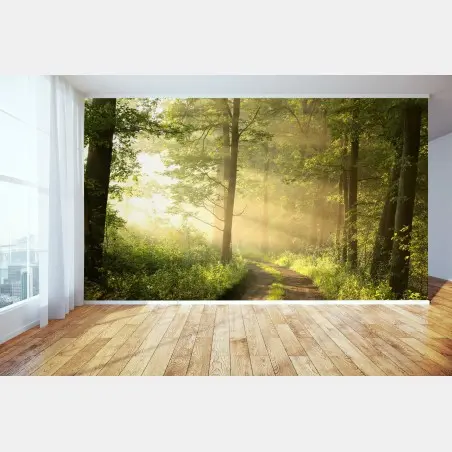 Papier peint matin doré dans la forêt – Wallnifity®