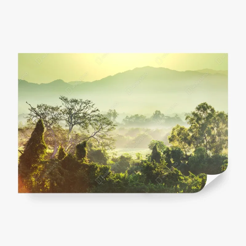 Papier peint jungle brumeuse du Vietnam – Wallnifity® Papier peint jungle brumeuse du Vietnam – Wallnifity®