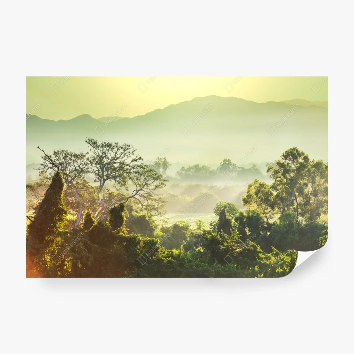 Papier peint jungle brumeuse du Vietnam – Wallnifity® Papier peint jungle brumeuse du Vietnam – Wallnifity®