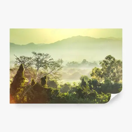 Papier peint jungle brumeuse du Vietnam – Wallnifity®