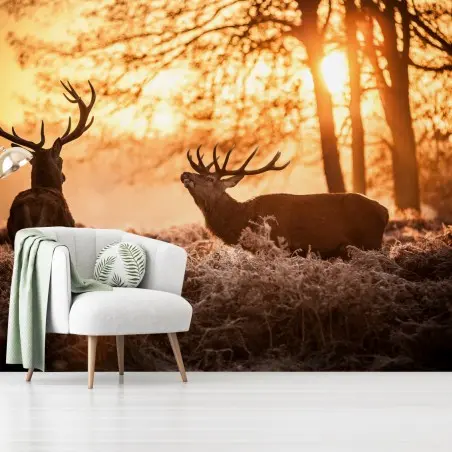 Papier peint brame des cerfs au lever du soleil – Wallnifity®