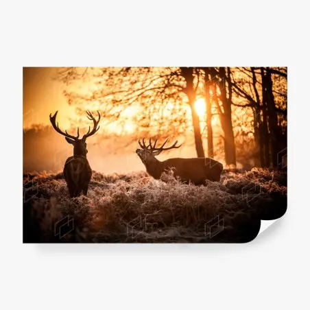Papier peint brame des cerfs au lever du soleil – Wallnifity®