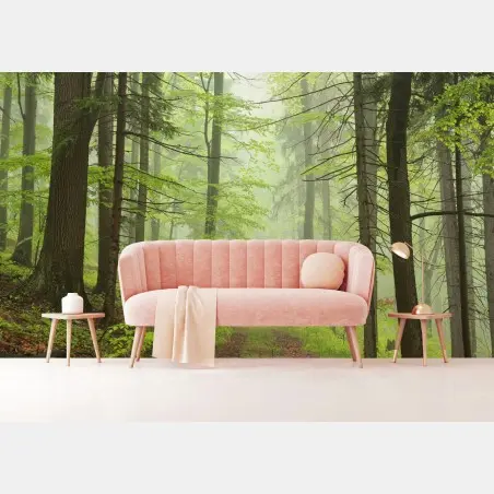 Papier peint sentier brumeux dans la forêt printanière – Wallnifity®