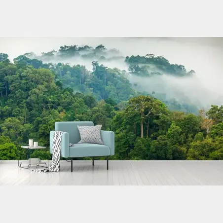 Papier peint brume matinale sur la forêt tropicale de Kaeng Krachan, Thaïlande – Wallnifity®