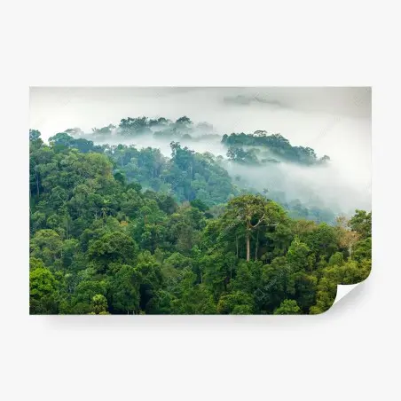 Papier peint brume matinale sur la forêt tropicale de Kaeng Krachan, Thaïlande – Wallnifity®