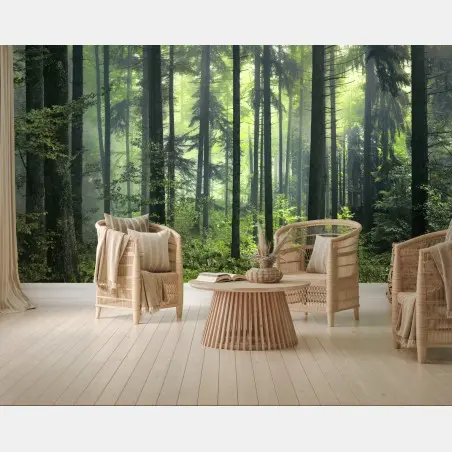 Papier peint forêt printanière mystérieuse au matin brumeux – Wallnifity®