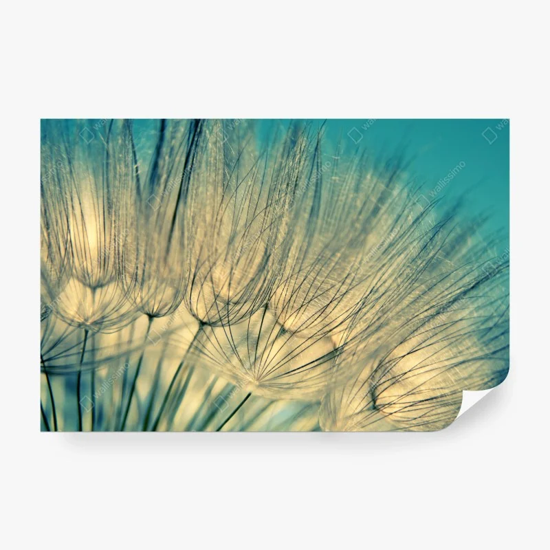 Papier peint fleur de pissenlit bleu - élégance aérienne – Wallnifity® Papier peint fleur de pissenlit bleu - élégance aérienne – Wallnifity®