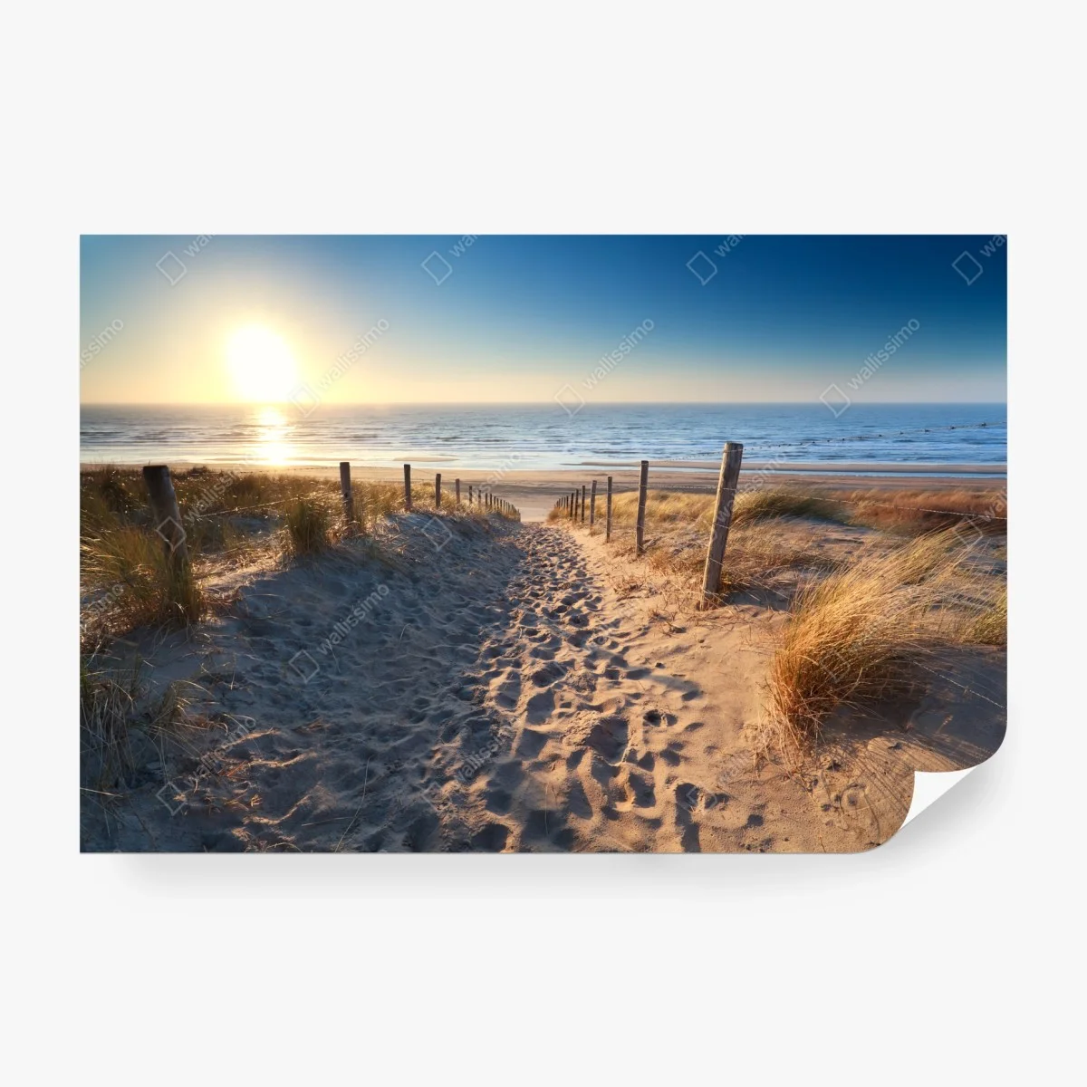 Papier peint chemin de dunes vers la Mer du Nord, Zandvoort – Wallnifity® Papier peint chemin de dunes vers la Mer du Nord, Zandvoort – Wallnifity®
