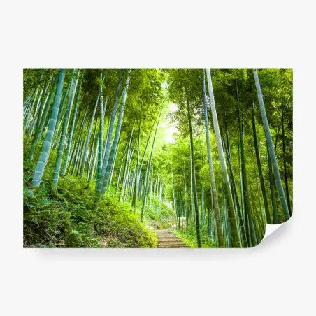 Papier peint allée de bambous verdoyante – Wallnifity®