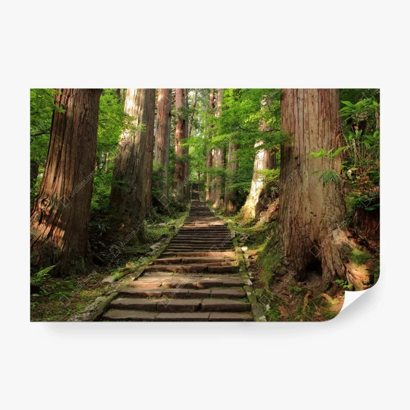 Papier peint sentier forestier entre arbres centenaires – Wallnifity® Papier peint sentier forestier entre arbres centenaires – Wallnifity®