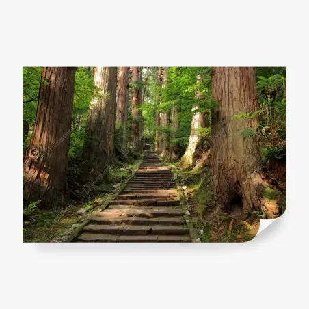 Papier peint sentier forestier entre arbres centenaires – Wallnifity®