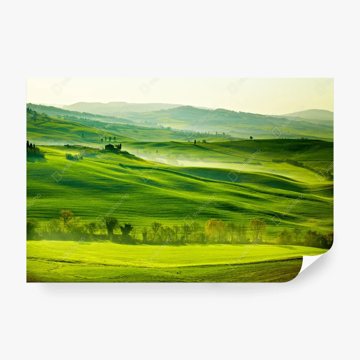Papier peint douceur des collines de San Quirico d'Orcia, Toscane – Wallnifity® Papier peint douceur des collines de San Quirico d'Orcia, Toscane – Wallnifity®