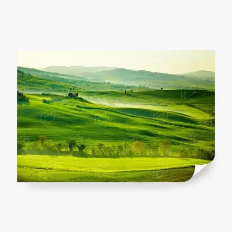 Papier peint douceur des collines de San Quirico d'Orcia, Toscane – Wallnifity®