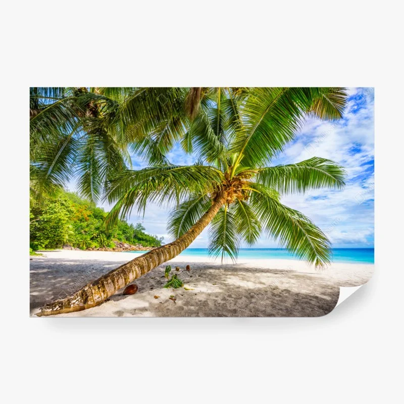 Papier peint cocotier incliné sur plage de sable blanc – Wallnifity® Papier peint cocotier incliné sur plage de sable blanc – Wallnifity®