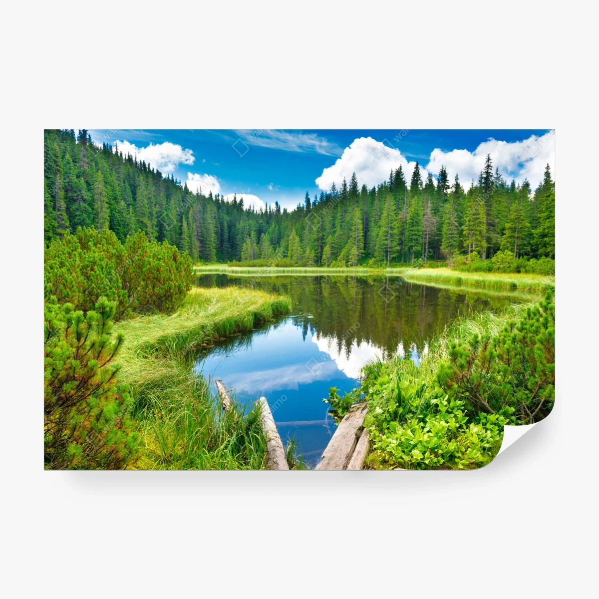 Papier peint reflets sereins sur le lac forestier – Wallnifity®